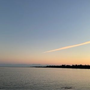 Meet your Posher, Frank